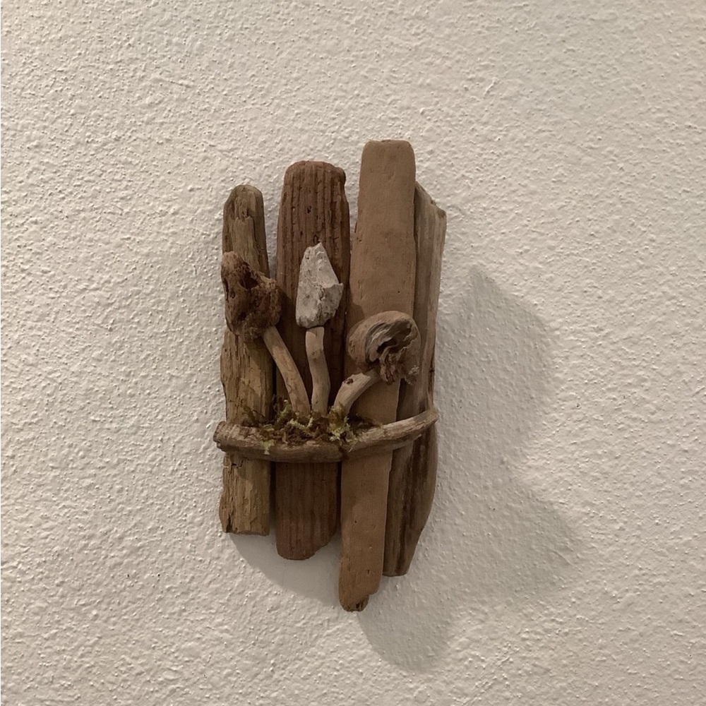 Driftwood Art , Driftwood Mushrooms , Mushroom Art, Driftwood Coastal Decor